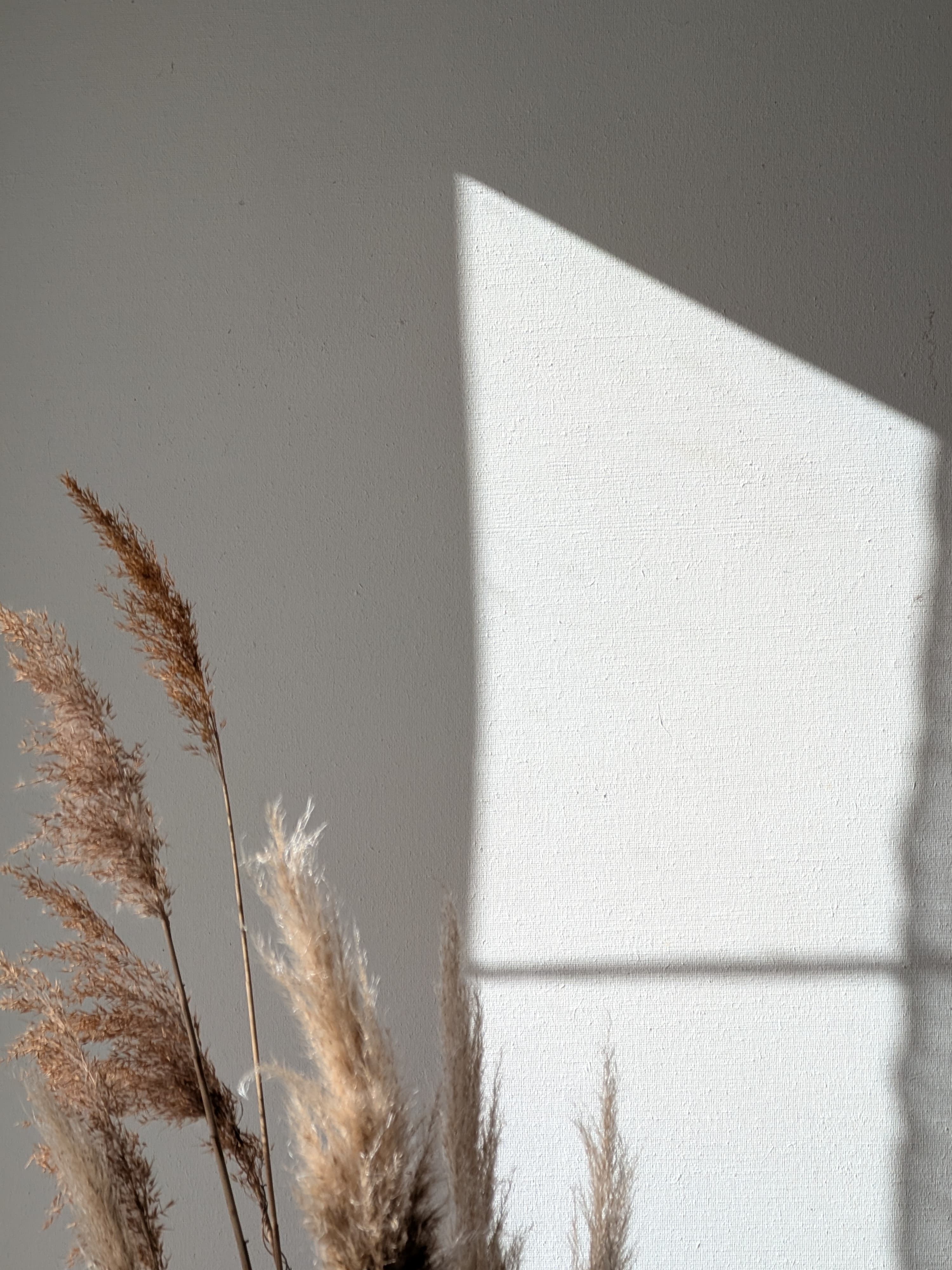 Curated vignette